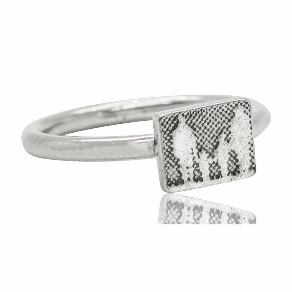 Little Silver Family Ring
